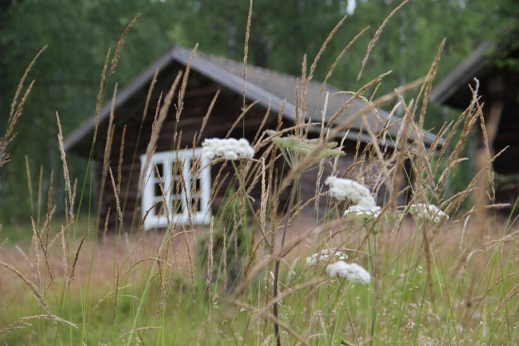 Lovas Gard Koppera Apartman Charlottenberg Kültér fotó